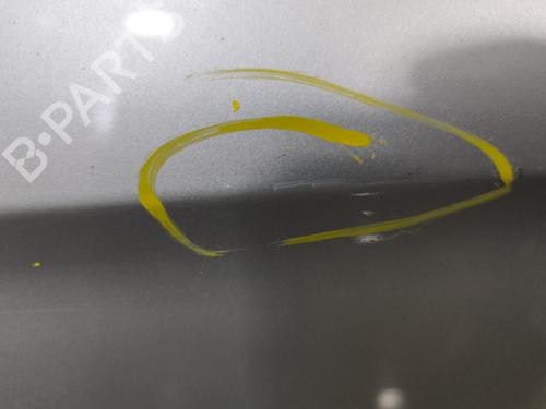 Left front door FORD S-MAX (WA6) 2.0 TDCi | BP29894224C2