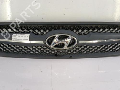 Grille HYUNDAI TUCSON (JM) 2.0 CRDi All-wheel Drive | BP22817599C40 