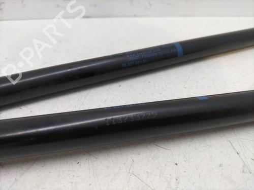 Tailgate lift support PEUGEOT 5008 (0U_, 0E_) 2.0 HDi | BP29834100C138 