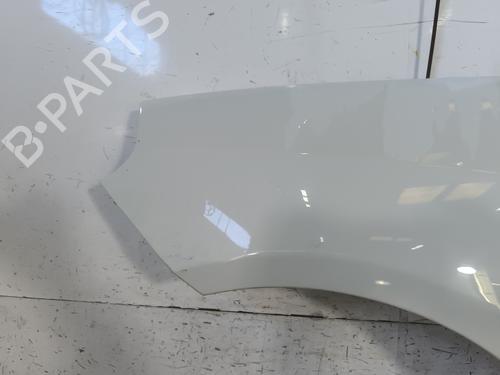Left front fenders FIAT GRANDE PUNTO (199_) 1.2 | BP27453473C41 
