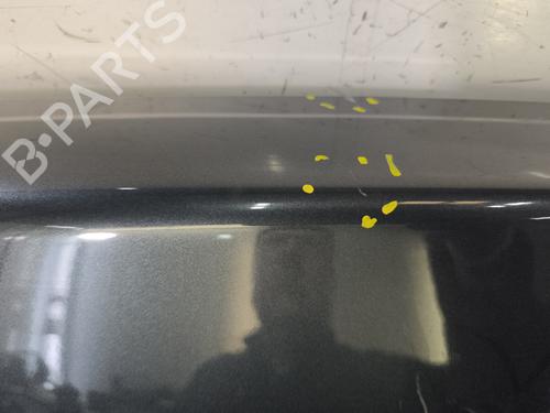 Left tailgate DACIA DOKKER Box Body/MPV 1.5 dCi 75 / Blue dCi 75 (FEJW, FEAH) | BP32436063C76 