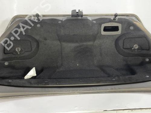 Used Tailgate Tailgate 22837781 22837781