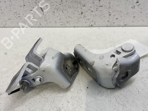 Used Hinge/Door check strap RENAULT SCENIC E-TECH PHASE I EV87 (218 hp) 28414769