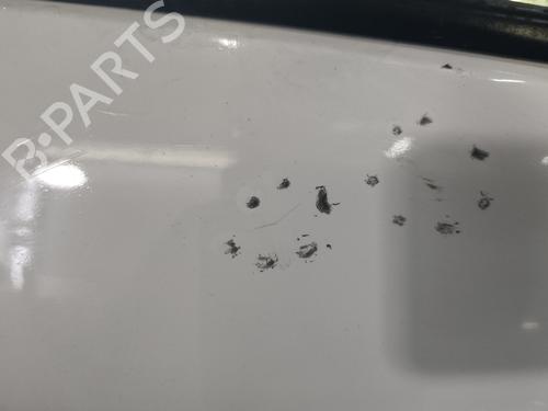 Right front door RENAULT MEGANE III Coupe (DZ0/1_) 1.5 dCi (DZ0C, DZ1A) | BP32313776C3 