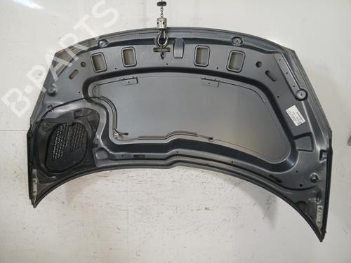 Hood PEUGEOT 206+ (2L_, 2M_) 1.1 | BP30184189C1