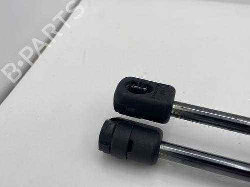 Tailgate lift support DACIA SANDERO 1.2 16V LPG | BP31987961C138