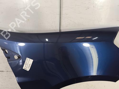 Right front fenders RENAULT CLIO III (BR0/1, CR0/1) 1.5 dCi (C/BR0G, C/BR1G) | BP25880981C42 