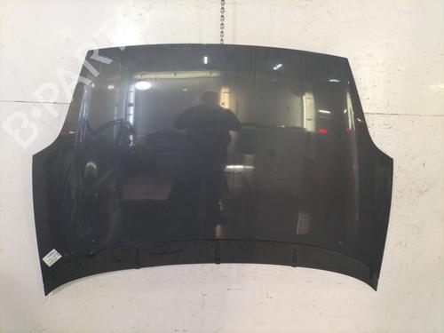 Panser FIAT PUNTO (199_) 1.3 D Multijet (84 hp) 30818995