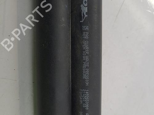 Tailgate lift support PEUGEOT 807 (EB_) 2.2 HDi | BP22819984C138 