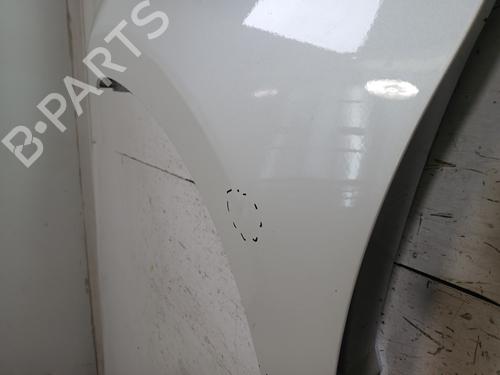 Left front fenders PEUGEOT 2008 I (CU_) 1.2 THP 110 / PureTech 110 | BP29834224C41