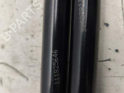 Tailgate lift support RENAULT KANGOO III MPV TCe 130 (KJMB) | BP29515753C138 