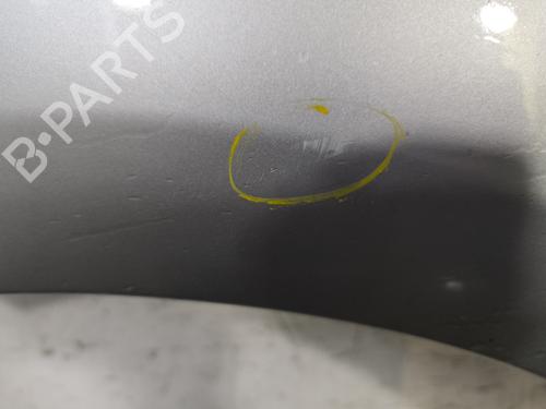 Left front fenders CITROËN C3 II (SC_) 1.2 VTi 82 | BP29869203C41