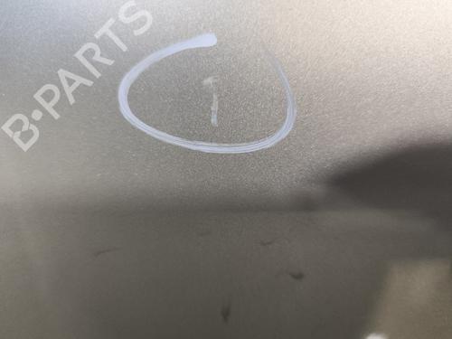 Left rear door RENAULT SCÉNIC III (JZ0/1_) 1.5 dCi | BP29619430C4 