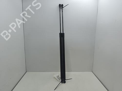 Used Tailgate lift support RENAULT GRAND SCÉNIC III (JZ0/1_) 1.5 dCi (JZ0B, JZ07) (106 hp) 31267947