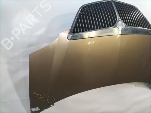 Hood LANCIA PHEDRA (179_) 2.0 JTD (179.AXH1B, 179.BXH1B) | BP28824249C1 