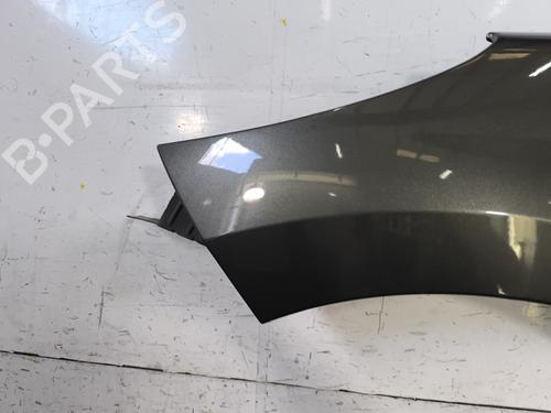 Left front fenders PEUGEOT 207 (WA_, WC_) 1.4 HDi | BP27558503C41 
