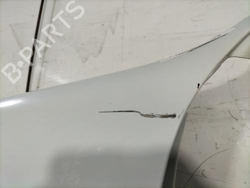Left front fenders RENAULT KANGOO (KC0/1_) 1.5 dCi | BP24053861C41 