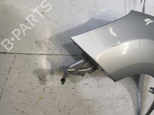 Left front fenders CITROËN C3 II (SC_) 1.2 VTi 82 | BP29869203C41