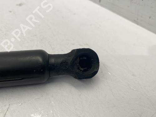 Used Hood lift support DACIA SANDERO II 1.5 dCi (90 hp) 25445532