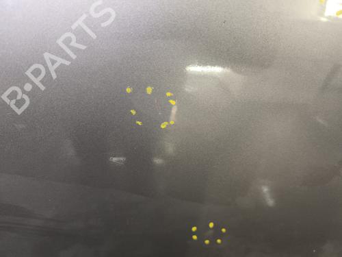 Right front door RENAULT MEGANE III Coupe (DZ0/1_) 1.6 dCi (DZ00, DZ12, DZ2A, DZ13) | BP32403448C3 