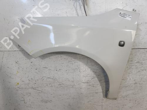 Left front fenders SKODA ROOMSTER (5J7) 1.6 TDI | BP29869212C41