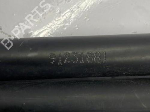 Gassdemper Bakluke BMW 1 (F20) 116 d (116 hp) 22839307