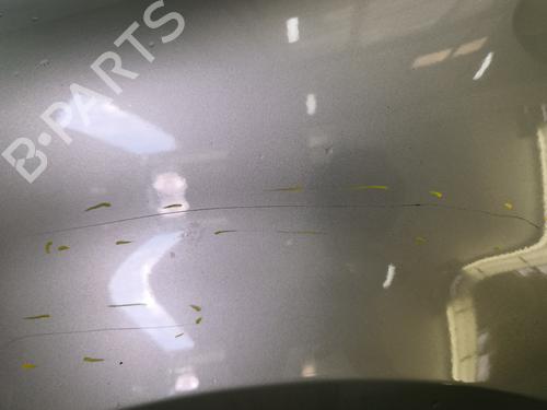 Guarda-lamas esquerdo Guarda-lamas esquerdo RENAULT MODUS / GRAND MODUS (F/JP0_) 1.5 dCi (FP0F, JP0F) (86 hp) 36287294 36287294