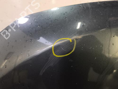 Panser DACIA LODGY (JS_) 1.5 dCi (JSMC, JSAF) | BP32078345C1 