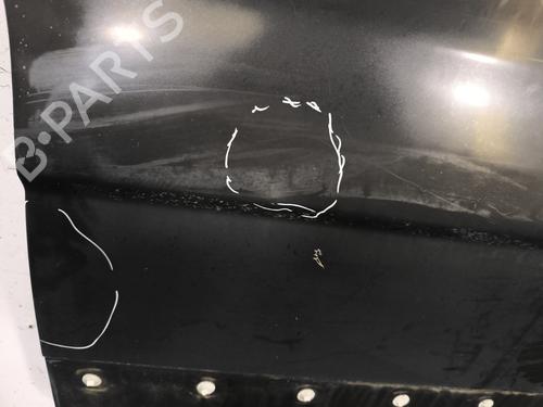 Right front door RENAULT TRAFIC II Van (FL) 2.0 dCi 115 (FL01, FL0U, FL00, FL0H, FL0M) | BP30162440C3 