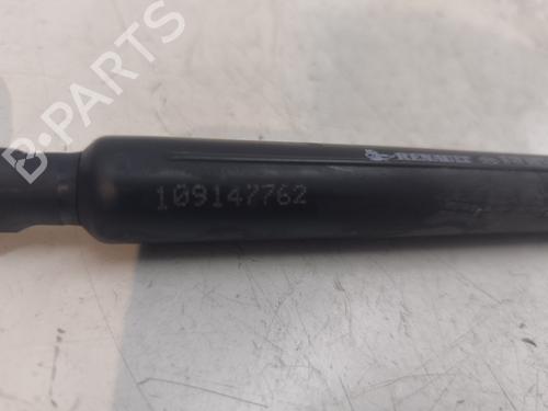 Hood lift support DACIA SANDERO II  | BP27545895C139 