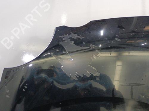 Hood VW POLO IV (9N_, 9A_)  | BP22818796C1 