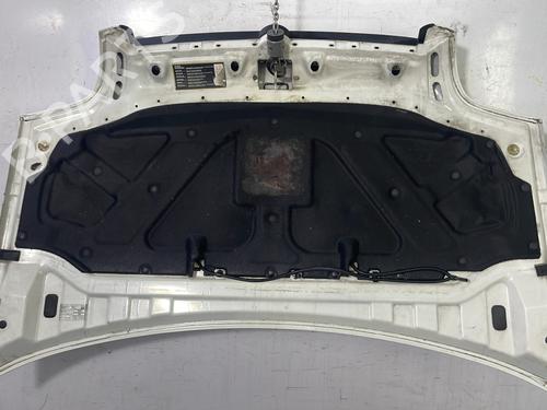 Hood FIAT DOBLO Box Body/MPV (223_) 1.9 D (223ZXB1A) | BP22844163C1 
