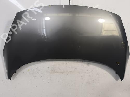 Used Hood RENAULT SCÉNIC III (JZ0/1_) 1.5 dCi (110 hp) 24196838