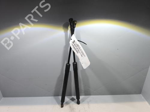 Hood lift support BMW 3 (E90) 318 d | BP29339014C139 
