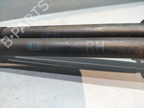 Tailgate lift support KIA CEE'D Hatchback (ED) 1.6 CRDi 115 | BP29388654C138 