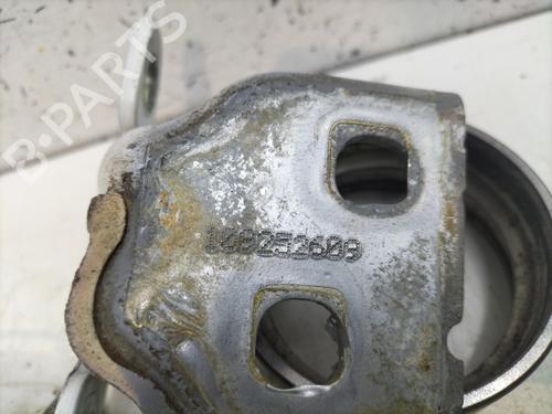 Hinge/Door check strap DACIA SANDERO II  | BP27619029C146  - Image 5