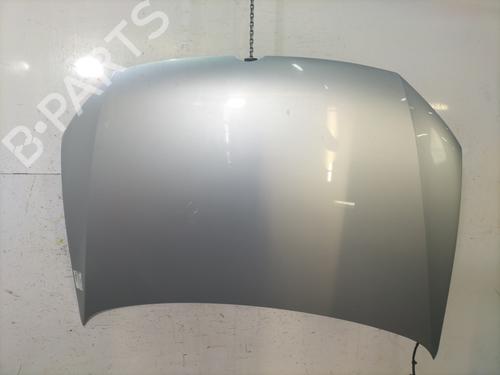 Used Hood VW POLO V (6R1, 6C1) 1.2 TSI 16V (90 hp) 30650380