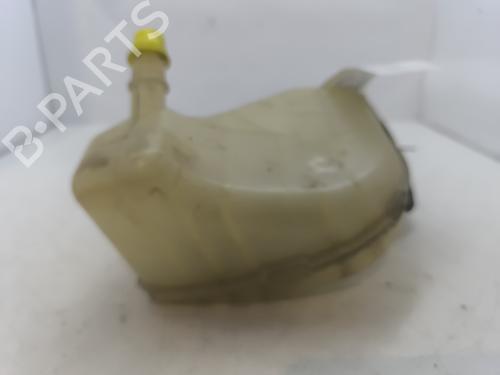 Used Expansion tank RENAULT TWINGO II (CN0_) 1.2 16V (CN0K, CN0V, CN0A) (76 hp) 29339060