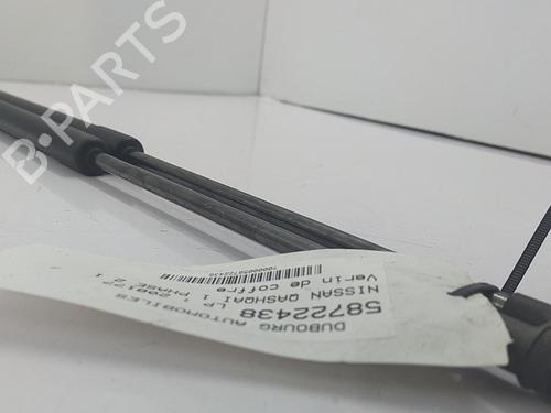 Tailgate lift support NISSAN QASHQAI / QASHQAI +2 I (J10, NJ10, JJ10E) 1.5 dCi | BP22820028C138 