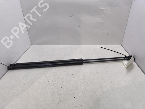 tailgate-lift-support-citroen-c4-picasso-ii-2013-34260854 main image