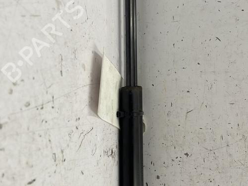 Tailgate lift support FORD KA (RU8) 1.2 | BP22843619C138