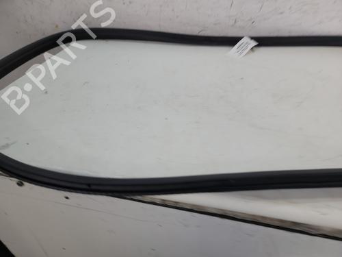 Rubber door seal RENAULT SCENIC E-TECH PHASE I EV87 | BP28064861C142 