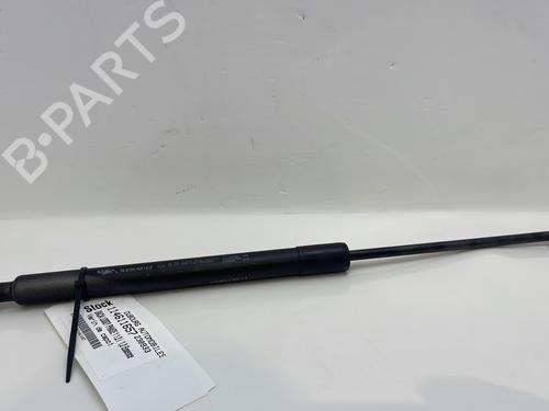 ammortizzatore-cofano-anteriore-dacia-lodgy-js_-2012-30445828 main image