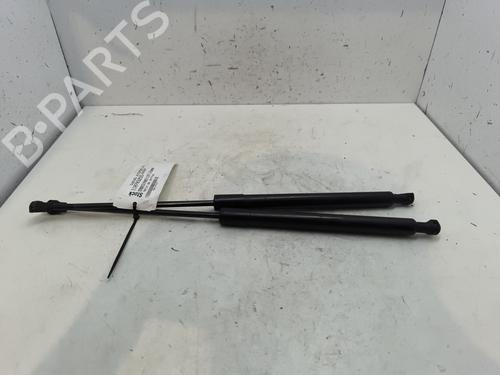 tailgate-lift-support-citroen-c3-ii-sc_-2009-28156893 main image