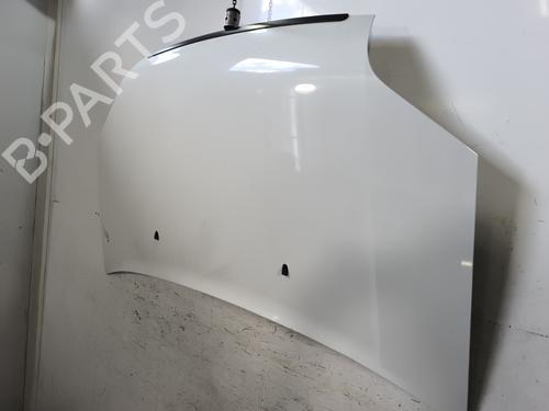 Hood FORD TRANSIT CONNECT (P65_, P70_, P80_) 1.8 TDCi | BP27631676C1