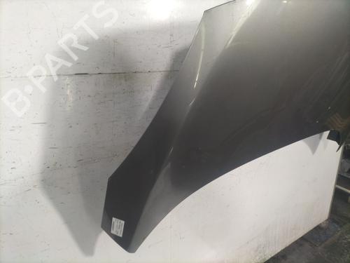 Hood RENAULT SCÉNIC III (JZ0/1_) 1.5 dCi | BP23829220C1 