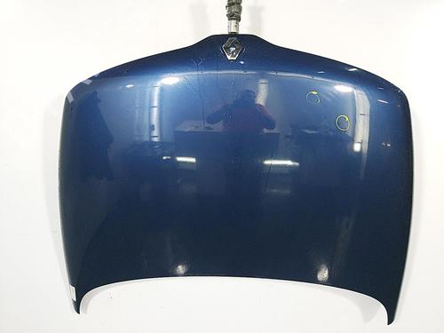 Hood RENAULT LAGUNA I (B56_, 556_) 1.6 16V (B568, B561) | BP22830150C1