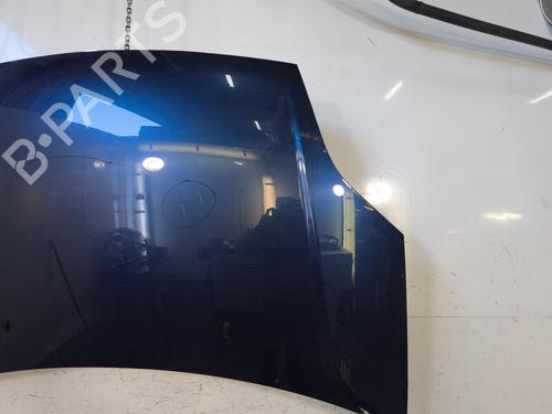 Hood FORD FIESTA V (JH_, JD_) 1.4 16V | BP29619383C1 