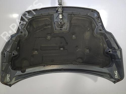 Hood FORD FOCUS II (DA_, HCP, DP) 1.8 TDCi | BP22826993C1 