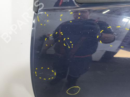 Dør venstre bagtil DACIA SANDERO II 1.2 | BP38921691C4 - Image 6